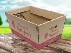Einkaufskorb Pappe