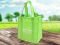 Abbildung: Non-Woven-Tragetasche Erlangen PP 32x34+21 cm mit Druck