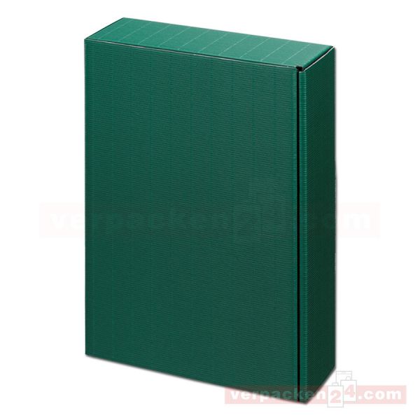 Wein-Flaschenverpackung Modern - uni grün