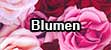 Geschenkpapier mit Blumenmotive